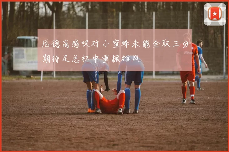厄德高感叹对小蜜蜂未能全取三分期待足总杯中重振雄风
