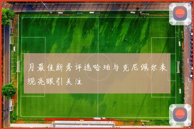 月最佳新秀评选哈珀与克尼佩尔表现亮眼引关注
